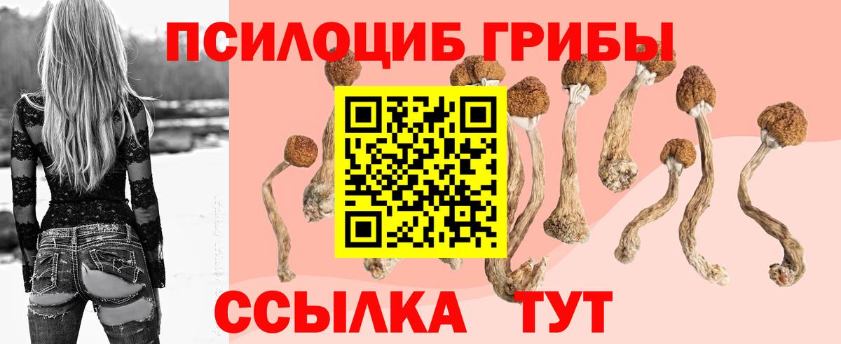Галлюциногенные грибы GOLDEN TEACHER Реж