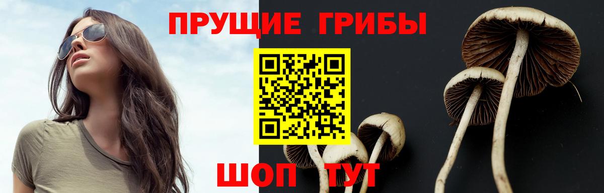 Псилоцибиновые грибы ЛСД  Вход с VPN  Реж  даркнет сайт  Псилоцибиновые грибы мухоморы 